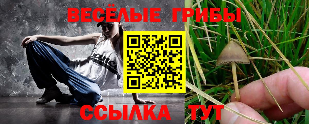 Псилоцибиновые грибы Psilocybine cubensis  Галлюциногенные грибы Magic Shrooms  Вход с VPN  Бийск 